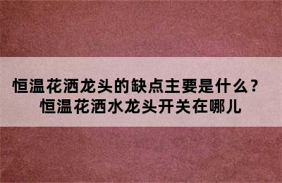 恒温花洒龙头的缺点主要是什么？ 恒温花洒水龙头开关在哪儿